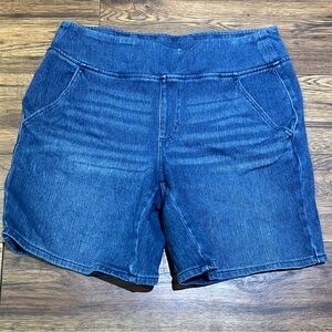 NWOT Kim Gravel Flexibelle Shorts Size 14